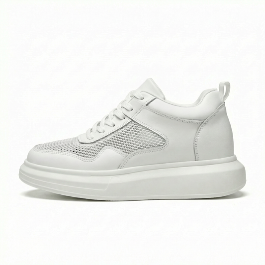 Apex Grid Blanc
